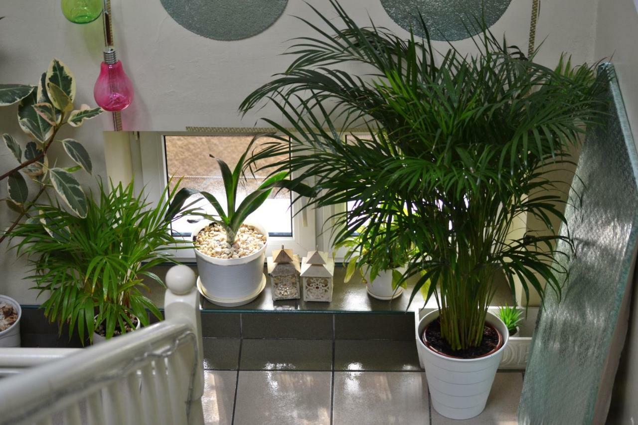 Akwarela I Apartment Krakow Bagian luar foto