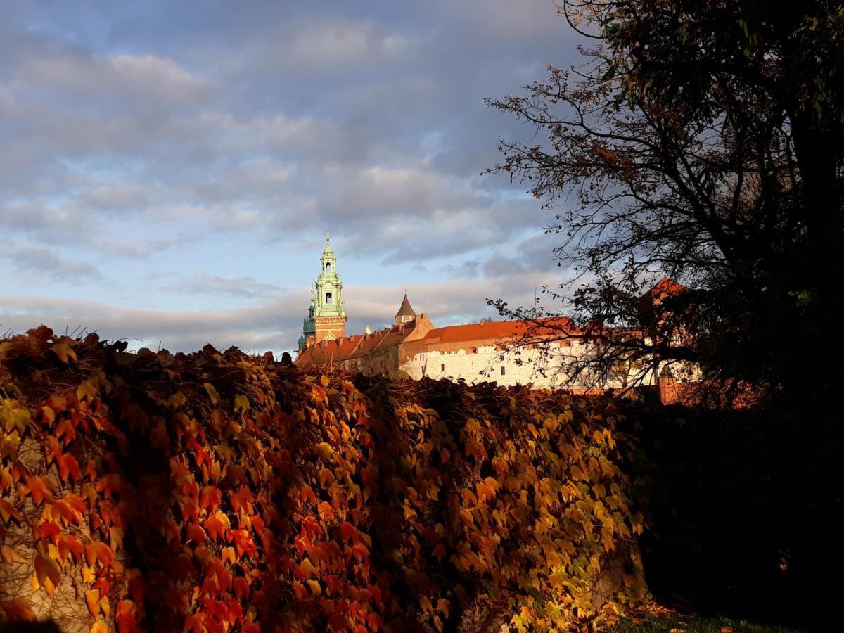 Akwarela I Apartment Krakow Bagian luar foto